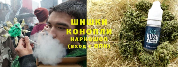 дмт Лабытнанги