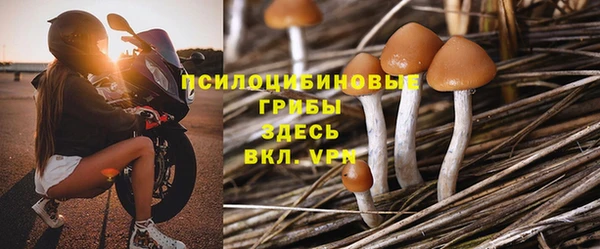 дмт Лабытнанги