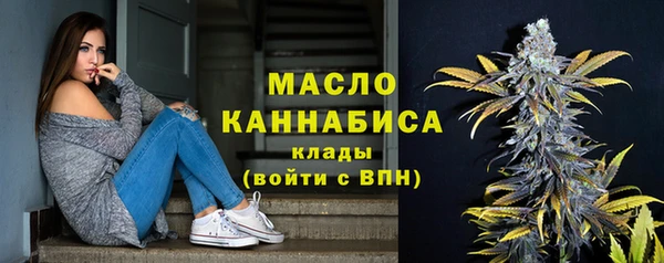 хмурый Ладушкин