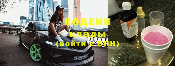 дмт Лабытнанги